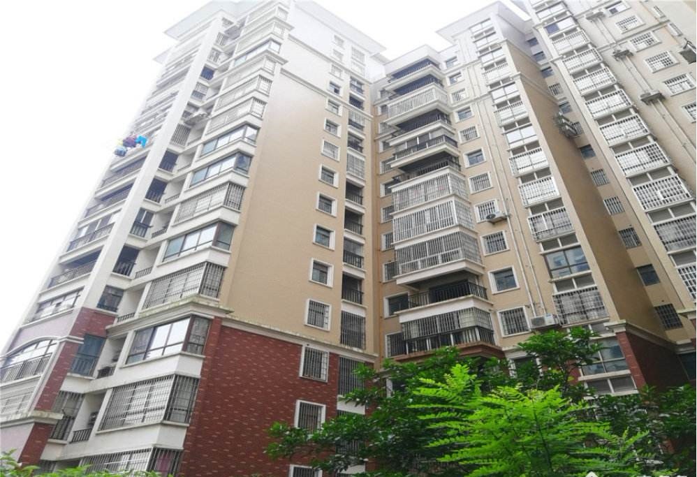 安鄉縣號公館—湖南電梯安裝